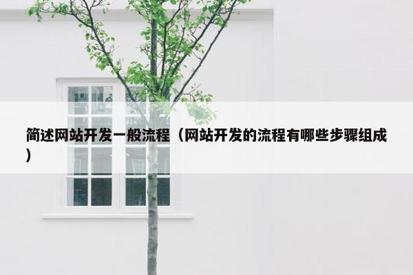 简述网站开发一般流程（网站开发的流程有哪些步骤组成）