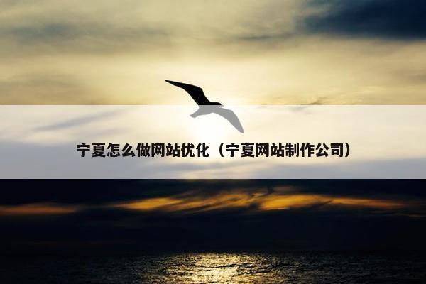 宁夏怎么做网站优化（宁夏网站制作公司）