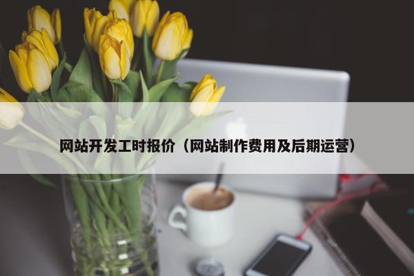 网站开发工时报价（网站制作费用及后期运营）