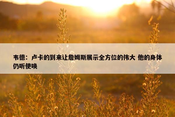 韦德：卢卡的到来让詹姆斯展示全方位的伟大 他的身体仍听使唤