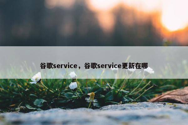 谷歌service，谷歌service更新在哪