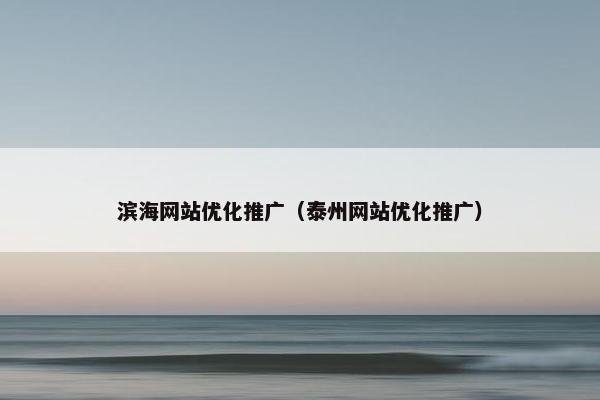 滨海网站优化推广（泰州网站优化推广）