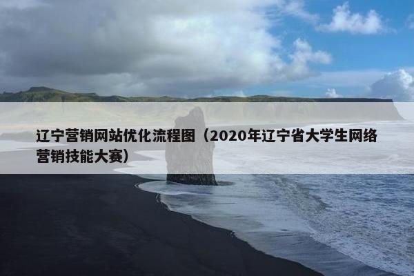 辽宁营销网站优化流程图（2020年辽宁省大学生网络营销技能大赛）