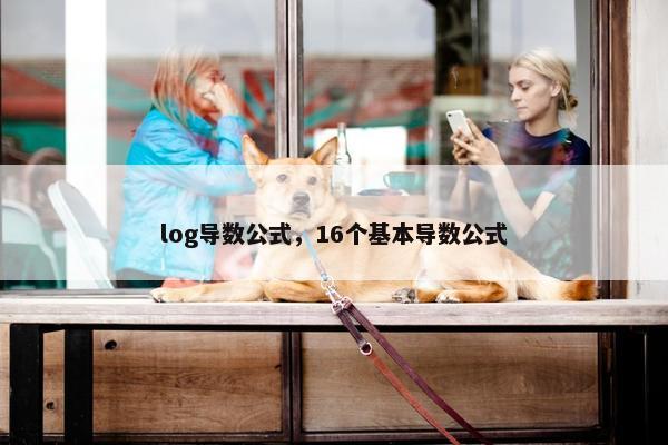 log导数公式，16个基本导数公式