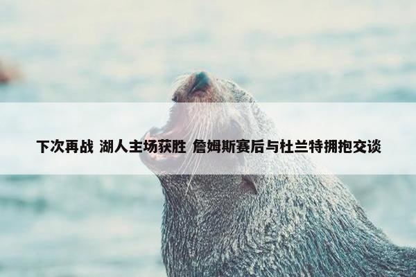 下次再战 湖人主场获胜 詹姆斯赛后与杜兰特拥抱交谈