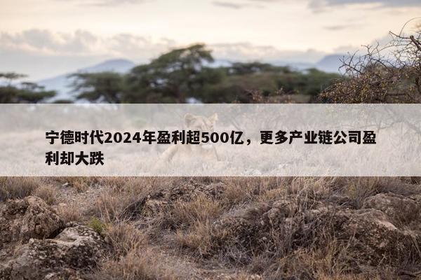 宁德时代2024年盈利超500亿，更多产业链公司盈利却大跌