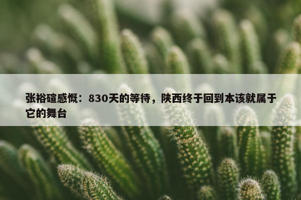 张裕碹感慨：830天的等待，陕西终于回到本该就属于它的舞台