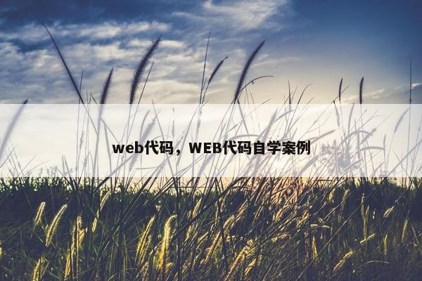 web代码，WEB代码自学案例