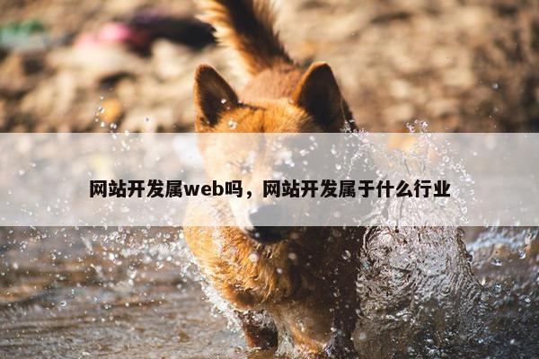 网站开发属web吗，网站开发属于什么行业