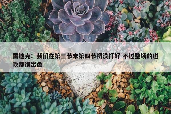 雷迪克：我们在第三节末第四节初没打好 不过整场的进攻都很出色