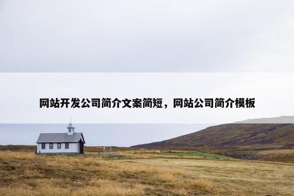 网站开发公司简介文案简短，网站公司简介模板