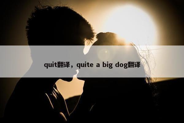 quit翻译，quite a big dog翻译