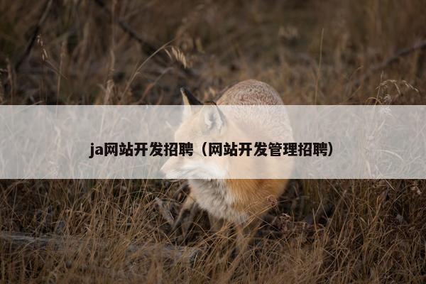 ja网站开发招聘（网站开发管理招聘）