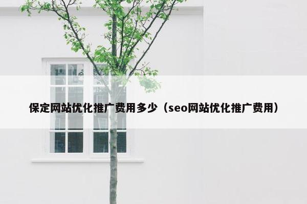 保定网站优化推广费用多少（seo网站优化推广费用）