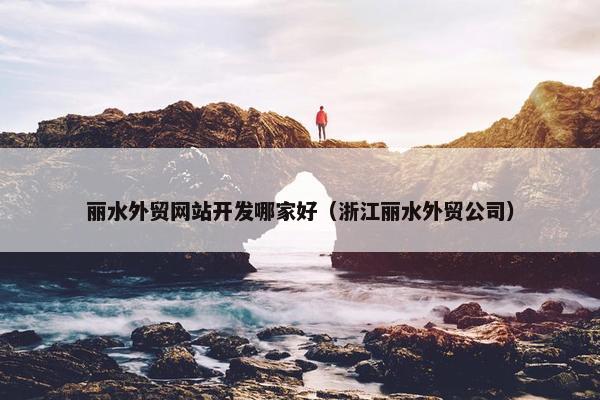 丽水外贸网站开发哪家好（浙江丽水外贸公司）