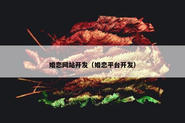 婚恋网站开发（婚恋平台开发）