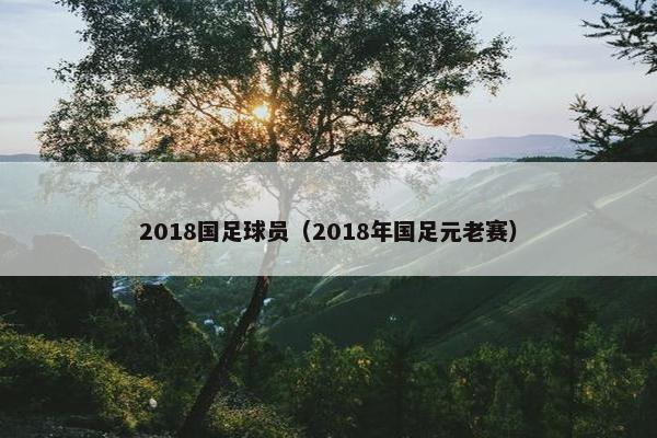 2018国足球员（2018年国足元老赛）