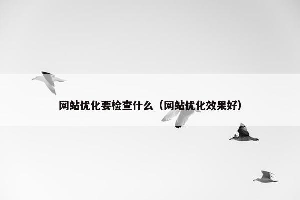 网站优化要检查什么（网站优化效果好）