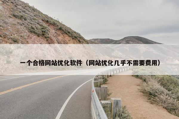 一个合格网站优化软件（网站优化几乎不需要费用）