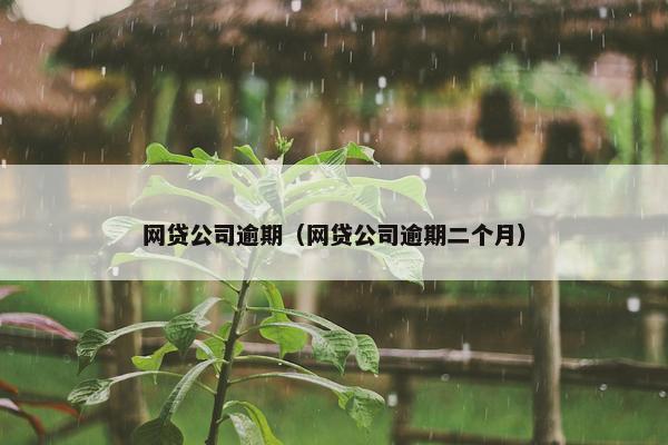 网贷公司逾期（网贷公司逾期二个月）