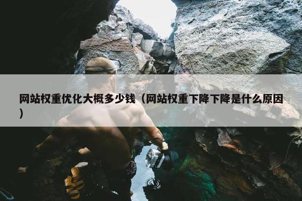 网站权重优化大概多少钱（网站权重下降下降是什么原因）