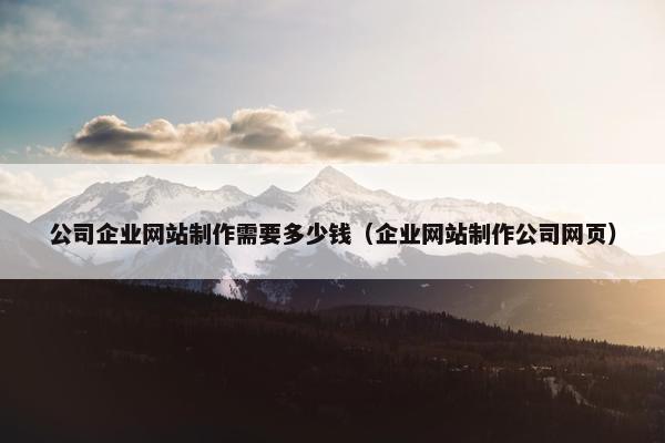 公司企业网站制作需要多少钱（企业网站制作公司网页）