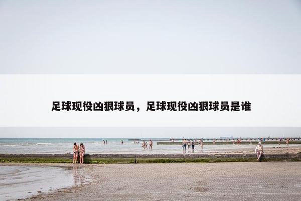 足球现役凶狠球员，足球现役凶狠球员是谁