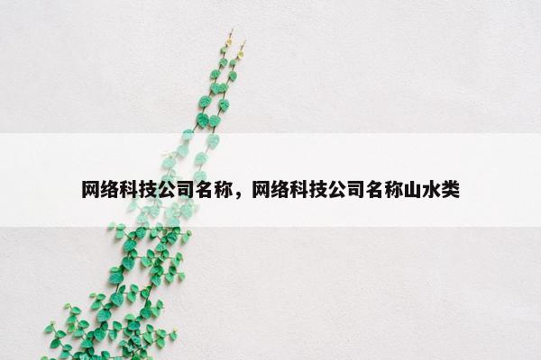 网络科技公司名称，网络科技公司名称山水类