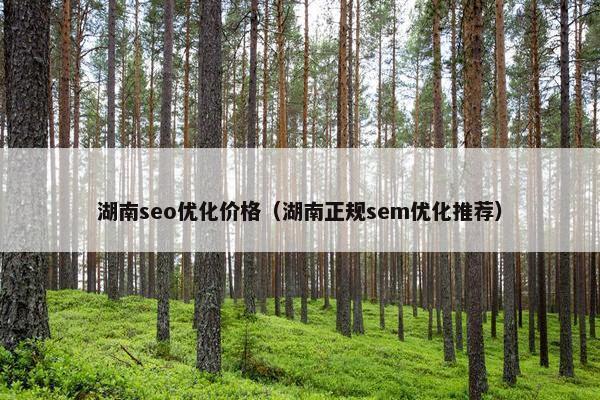 湖南seo优化价格（湖南正规sem优化推荐）