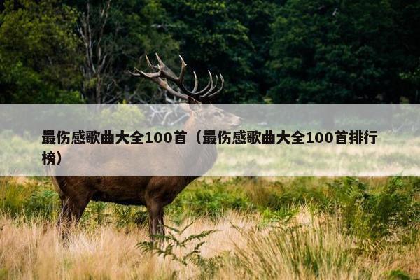 最伤感歌曲大全100首（最伤感歌曲大全100首排行榜）