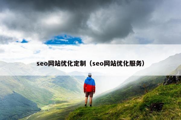 seo网站优化定制（seo网站优化服务）