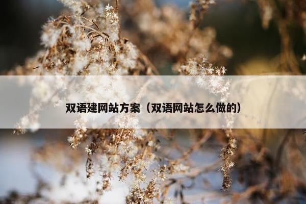 双语建网站方案（双语网站怎么做的）