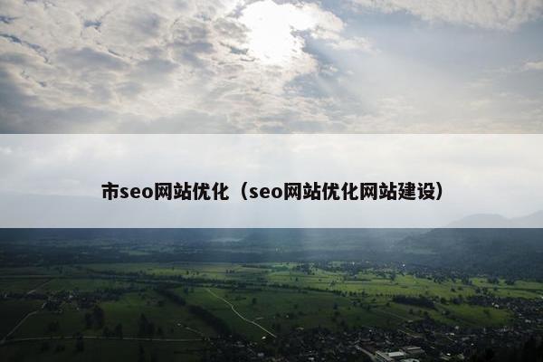 市seo网站优化（seo网站优化网站建设）