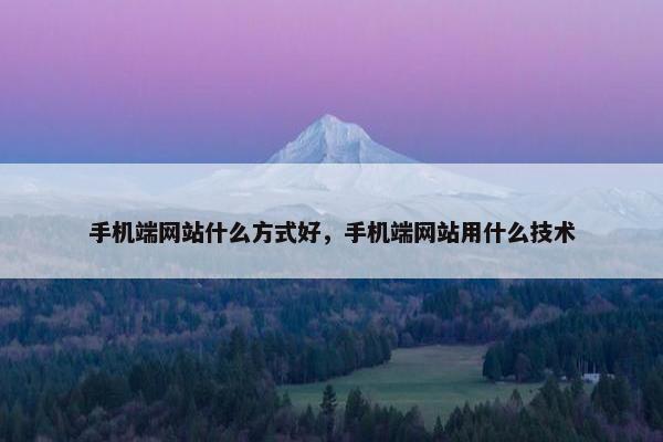 手机端网站什么方式好，手机端网站用什么技术