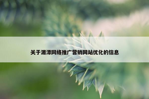 关于湄潭网络推广营销网站优化的信息