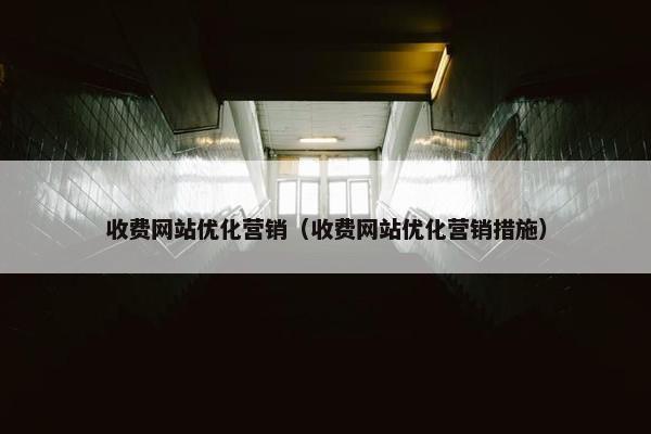 收费网站优化营销（收费网站优化营销措施）