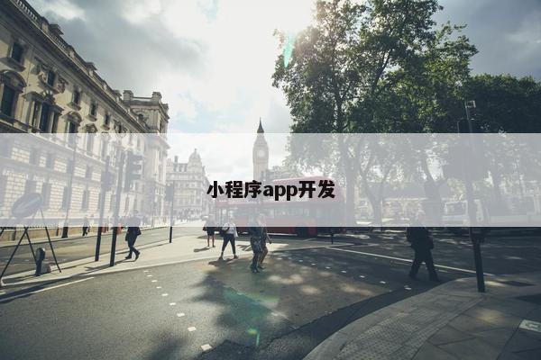 小程序app开发