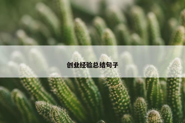 创业经验总结句子