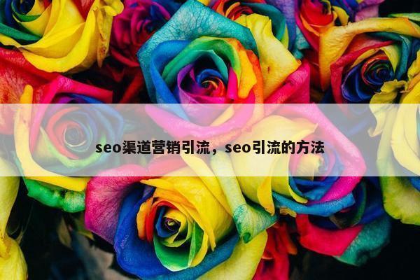 seo渠道营销引流，seo引流的方法