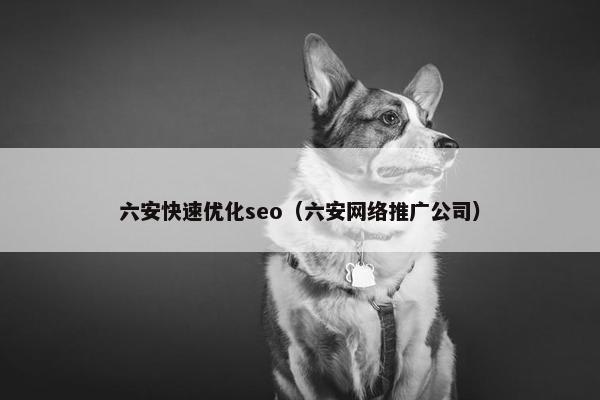 六安快速优化seo（六安网络推广公司）