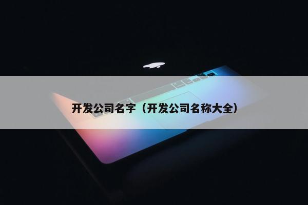 开发公司名字（开发公司名称大全）