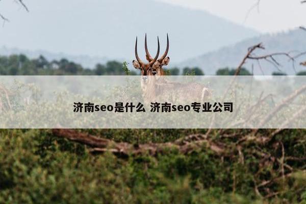 济南seo是什么 济南seo专业公司