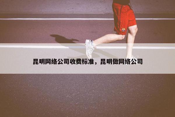 昆明网络公司收费标准，昆明做网络公司