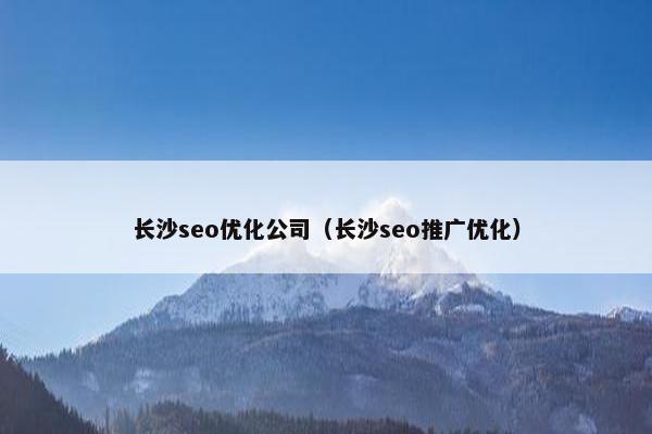 长沙seo优化公司（长沙seo推广优化）