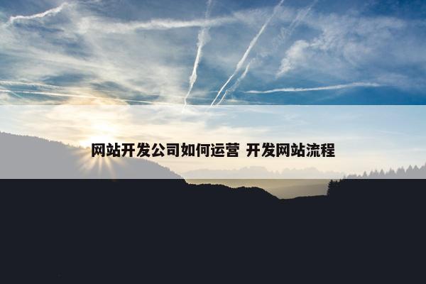 网站开发公司如何运营 开发网站流程