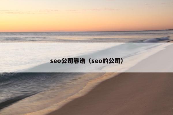 seo公司靠谱（seo的公司）