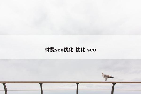 付费seo优化 优化 seo