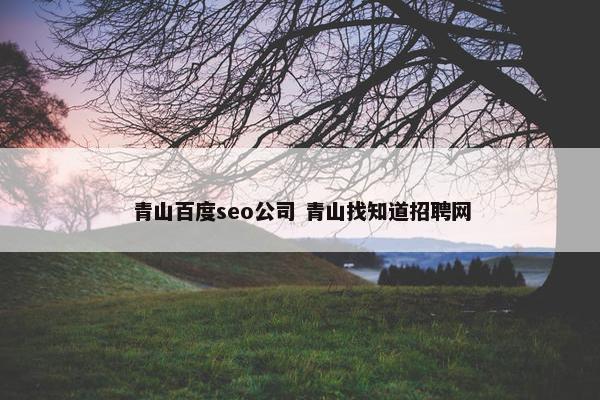 青山百度seo公司 青山找知道招聘网