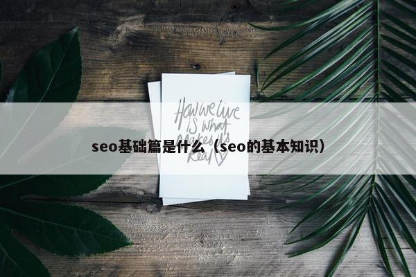 seo基础篇是什么（seo的基本知识）