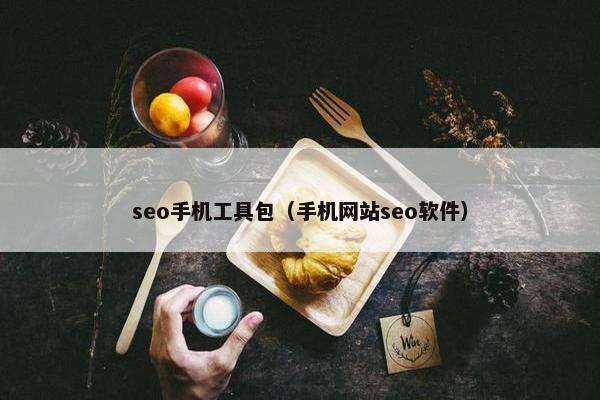 seo手机工具包（手机网站seo软件）